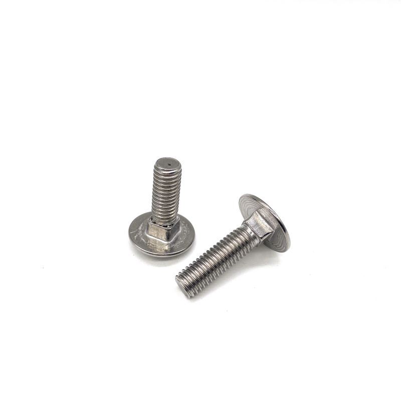 สลักเกลียวสแตนเลสคอเหลี่ยม DIN603 M10 M12 Carriage Bolt